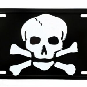 Totenkopf Blechschild