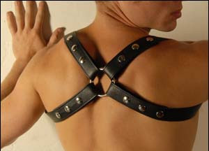 Contender Harness