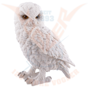 Weiße Schneeeule stehend