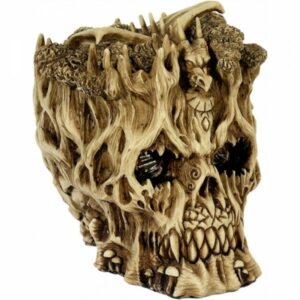 Totenkopf 'Baumdrache'