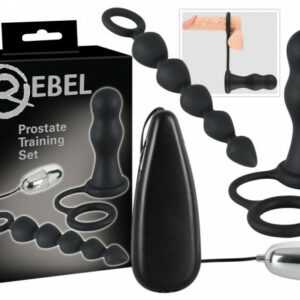 Prostata-Trainings Set
