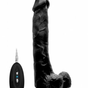 Realistischer Vibrator mit Hodensack schwarz 10 Inch