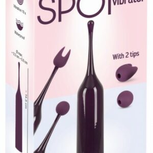 Vibrator mit zwei Aufsätzen