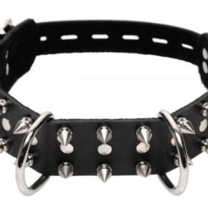 Verschließbares Hundehalsband mit Spikes