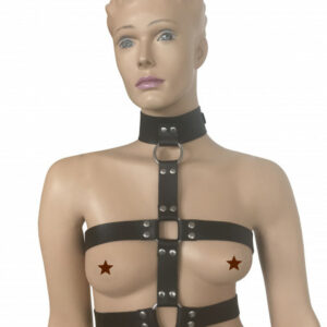 Leder Harness