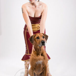 Latex Gouvernantenkleid - MACINGER