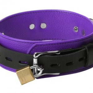 Verschließbares Lederhalsband - schwarz und violett