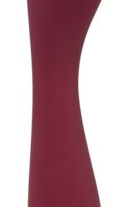 Vibrator rechargeable