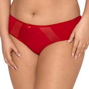 Plus Size Slip in rot